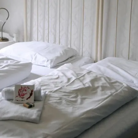 Turisthotell Hotell 2*