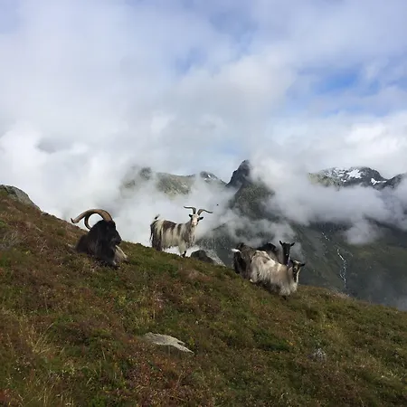 Hotell Turisthotell 2*