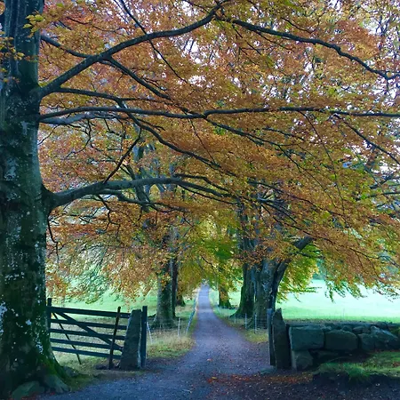 Turisthotell 2* Rosendal