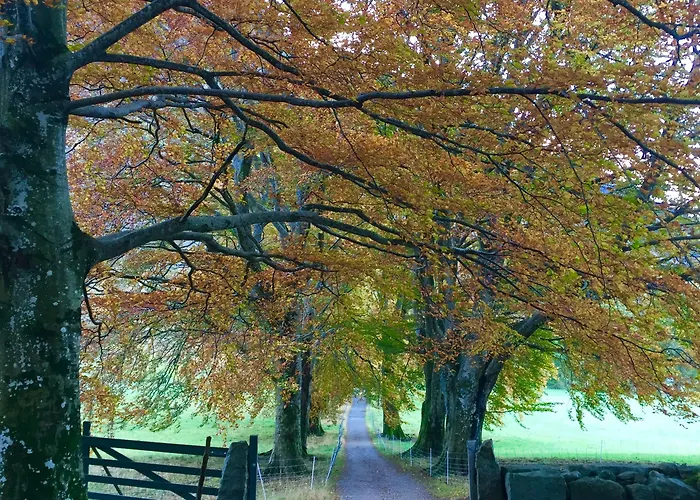 Turisthotell 2* Rosendal