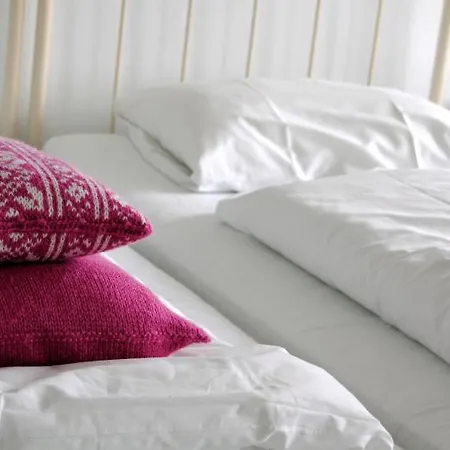 فندق Turisthotell روزندال