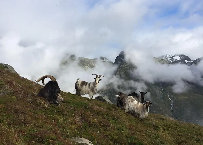 Hotell Turisthotell 2*